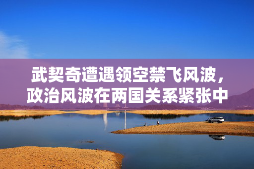 武契奇遭遇领空禁飞风波，政治风波在两国关系紧张中蔓延