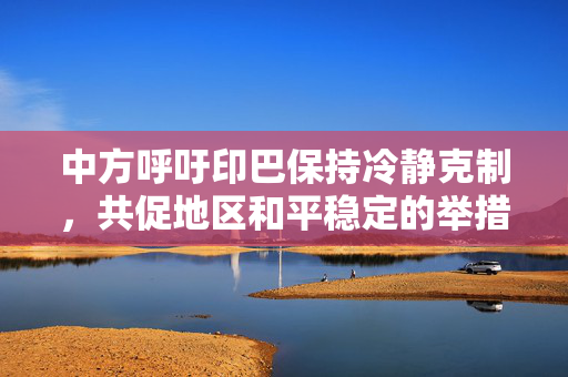 中方呼吁印巴保持冷静克制，共促地区和平稳定的举措
