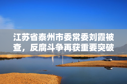 江苏省泰州市委常委刘霞被查，反腐斗争再获重要突破