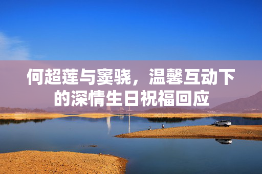 何超莲与窦骁，温馨互动下的深情生日祝福回应