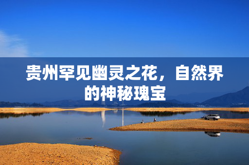贵州罕见幽灵之花，自然界的神秘瑰宝