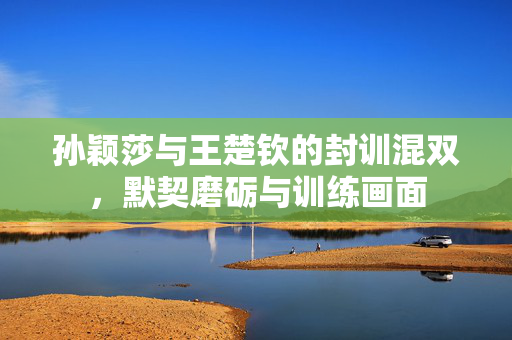 孙颖莎与王楚钦的封训混双，默契磨砺与训练画面
