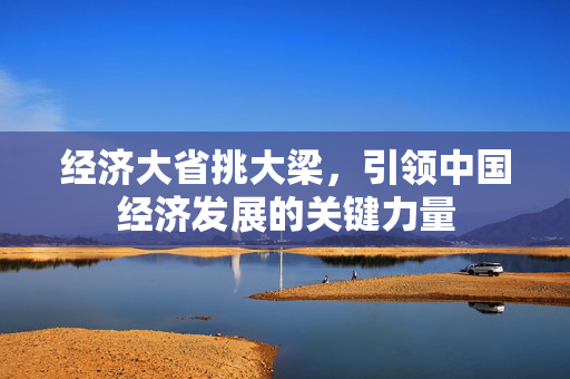 经济大省挑大梁，引领中国经济发展的关键力量