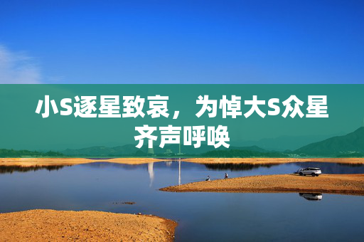 小S逐星致哀，为悼大S众星齐声呼唤