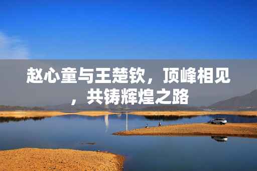 赵心童与王楚钦，顶峰相见，共铸辉煌之路