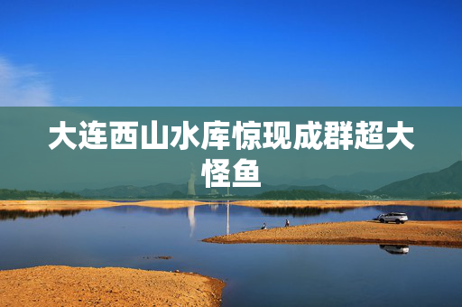 大连西山水库惊现成群超大怪鱼