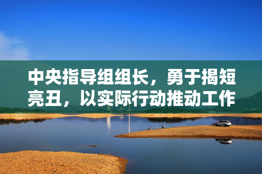 中央指导组组长，勇于揭短亮丑，以实际行动推动工作进步