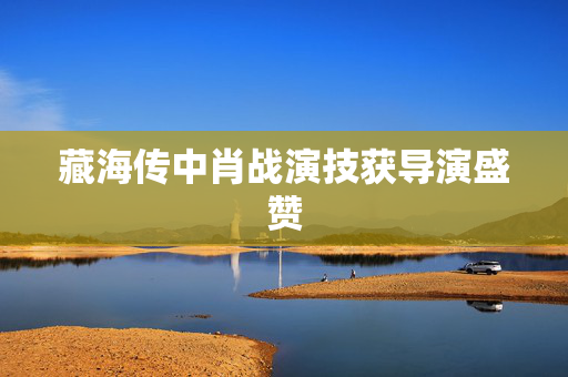 藏海传中肖战演技获导演盛赞