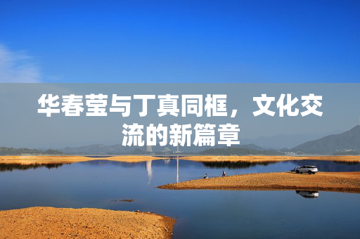 华春莹与丁真同框，文化交流的新篇章