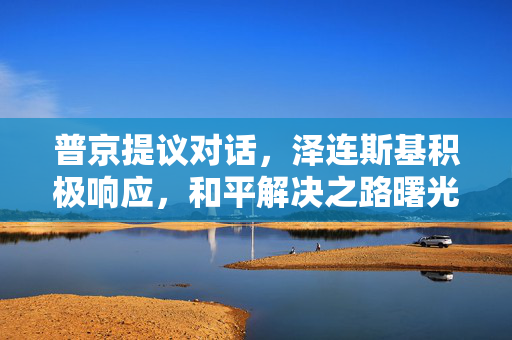 普京提议对话，泽连斯基积极响应，和平解决之路曙光初现
