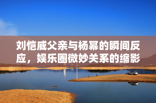 刘恺威父亲与杨幂的瞬间反应，娱乐圈微妙关系的缩影