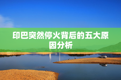 印巴突然停火背后的五大原因分析