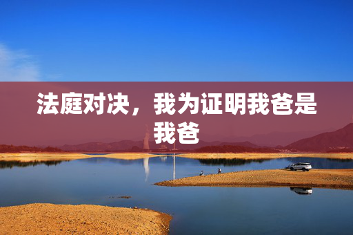 法庭对决，我为证明我爸是我爸
