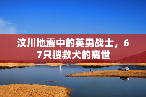 汶川地震中的英勇战士，67只搜救犬的离世