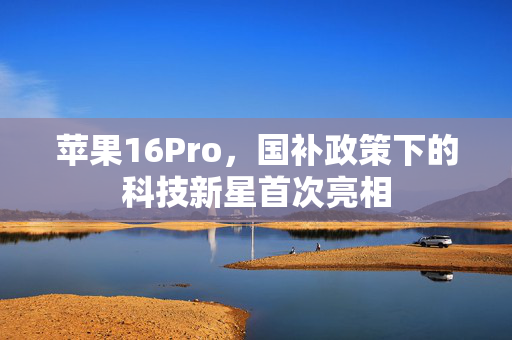 苹果16Pro，国补政策下的科技新星首次亮相