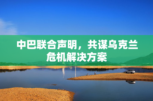 中巴联合声明，共谋乌克兰危机解决方案