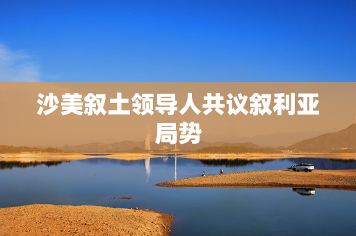 沙美叙土领导人共议叙利亚局势