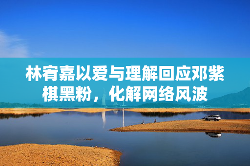 林宥嘉以爱与理解回应邓紫棋黑粉，化解网络风波
