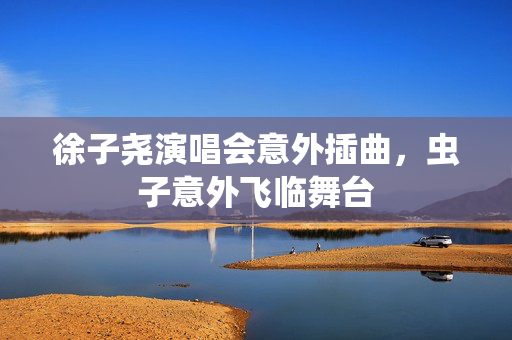 徐子尧演唱会意外插曲，虫子意外飞临舞台