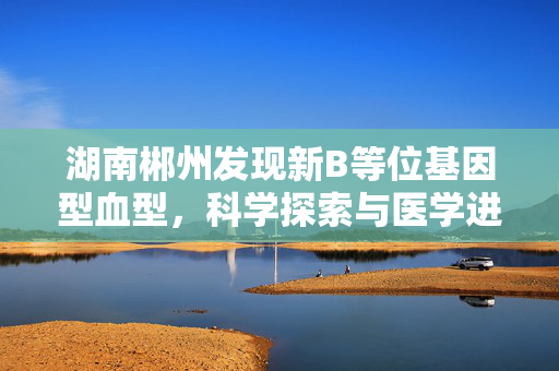 湖南郴州发现新B等位基因型血型，科学探索与医学进步的里程碑