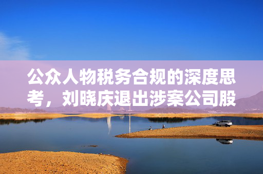 公众人物税务合规的深度思考，刘晓庆退出涉案公司股东身份的启示
