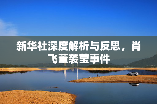 新华社深度解析与反思，肖飞董袭莹事件