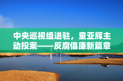 中央巡视组进驻，童亚辉主动投案——反腐倡廉新篇章的启示