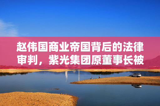 赵伟国商业帝国背后的法律审判，紫光集团原董事长被判死刑缓期执行