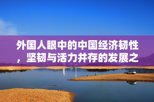 外国人眼中的中国经济韧性，坚韧与活力并存的发展之路