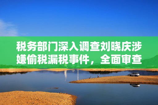 税务部门深入调查刘晓庆涉嫌偷税漏税事件，全面审查与追责的背后