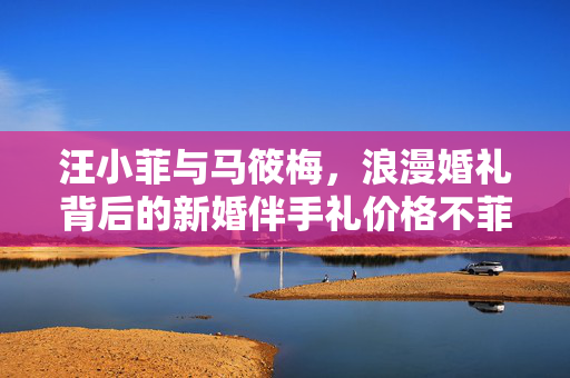 汪小菲与马筱梅，浪漫婚礼背后的新婚伴手礼价格不菲故事