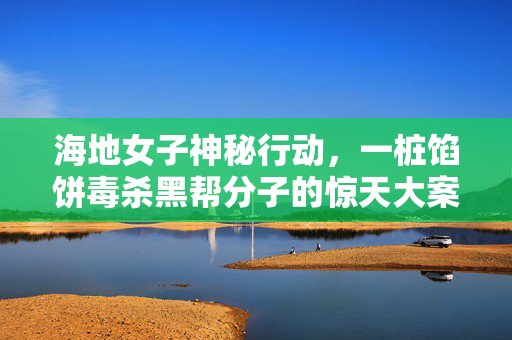海地女子神秘行动，一桩馅饼毒杀黑帮分子的惊天大案