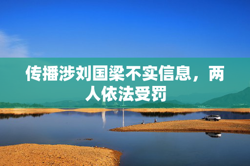 传播涉刘国梁不实信息，两人依法受罚