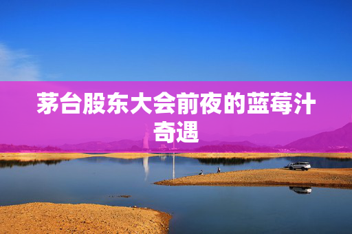 茅台股东大会前夜的蓝莓汁奇遇