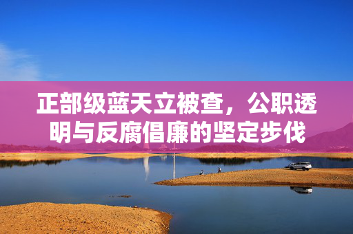 正部级蓝天立被查，公职透明与反腐倡廉的坚定步伐