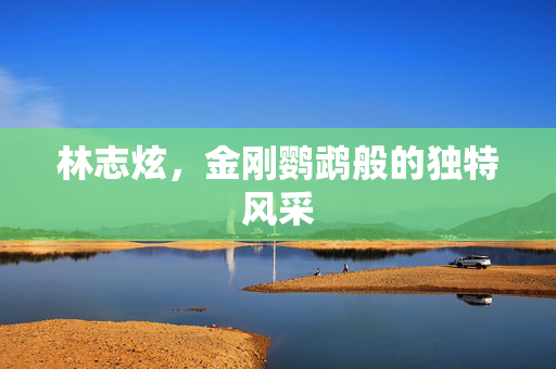 林志炫，金刚鹦鹉般的独特风采