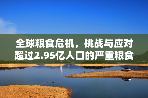 全球粮食危机，挑战与应对超过2.95亿人口的严重粮食不安全