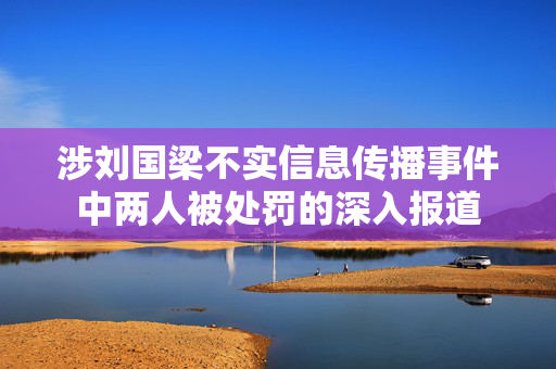 涉刘国梁不实信息传播事件中两人被处罚的深入报道