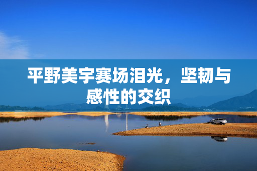 平野美宇赛场泪光，坚韧与感性的交织
