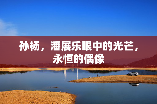 孙杨，潘展乐眼中的光芒，永恒的偶像