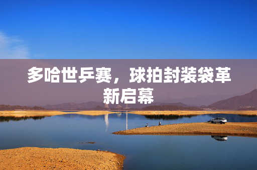 多哈世乒赛，球拍封装袋革新启幕