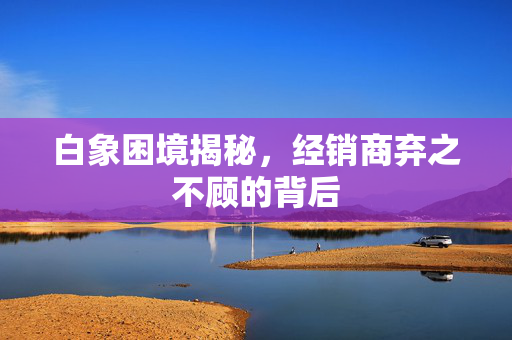白象困境揭秘，经销商弃之不顾的背后