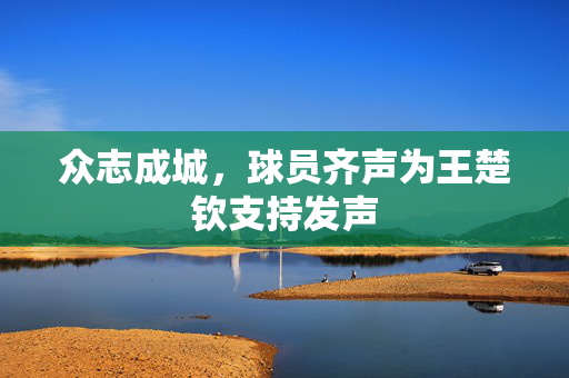 众志成城，球员齐声为王楚钦支持发声