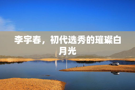 李宇春，初代选秀的璀璨白月光