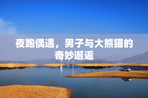 夜跑偶遇，男子与大熊猫的奇妙邂逅