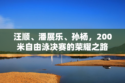 汪顺、潘展乐、孙杨，200米自由泳决赛的荣耀之路