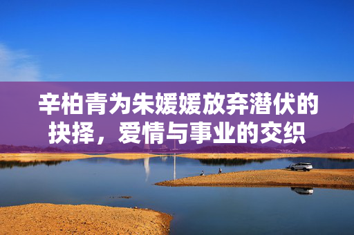 辛柏青为朱媛媛放弃潜伏的抉择，爱情与事业的交织