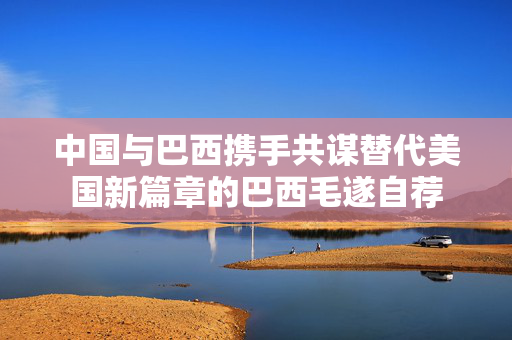 中国与巴西携手共谋替代美国新篇章的巴西毛遂自荐