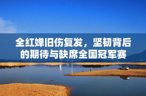 全红婵旧伤复发，坚韧背后的期待与缺席全国冠军赛