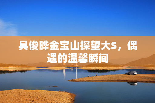 具俊晔金宝山探望大S，偶遇的温馨瞬间